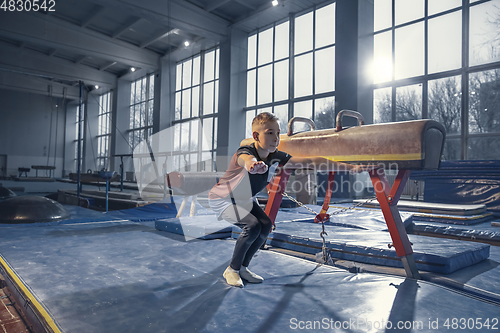 Image of Little male gymnast training in gym, flexible and active