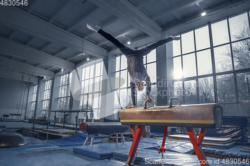 Image of Little male gymnast training in gym, flexible and active