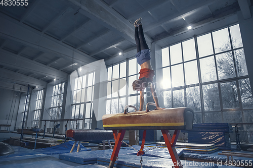 Image of Little male gymnast training in gym, flexible and active