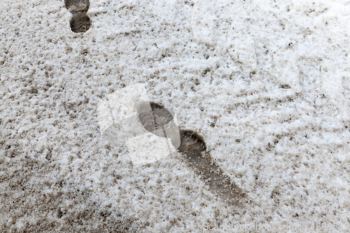 Image of Traces on dirty snow