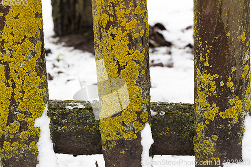 Image of Old wooden fence