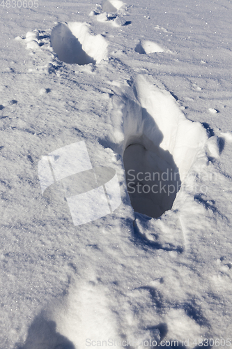 Image of Snow drifts in winter