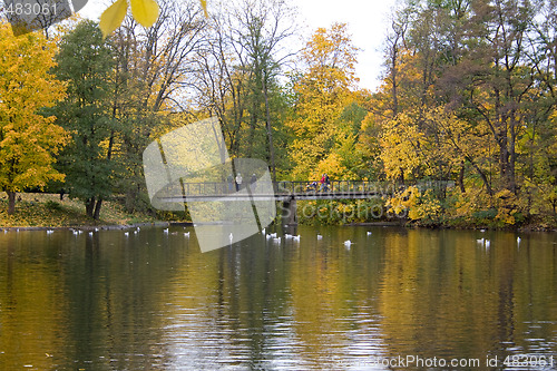 Image of Park bridge