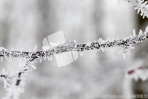 Image of Snow drifts in winter