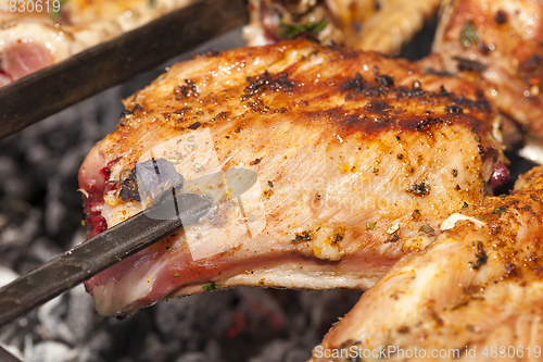 Image of skewers of meat, close-up