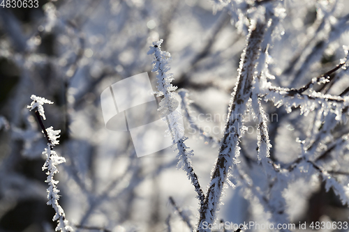 Image of Winter time of the year