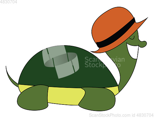 Image of A turtle with a hat vector or color illustration