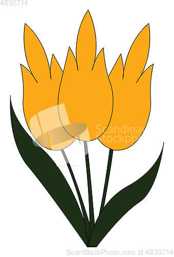 Image of A fresh yellow snowdrop vector or color illustration