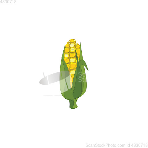 Image of Tasty Corn vector or color illustration