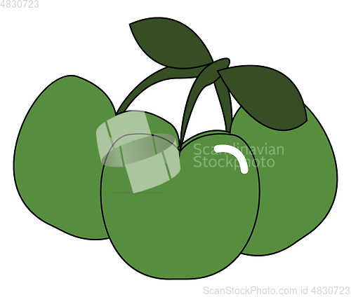 Image of Bunch of little green apples vector or color illustration