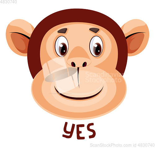 Image of Monkey is saying yes, illustration, vector on white background.