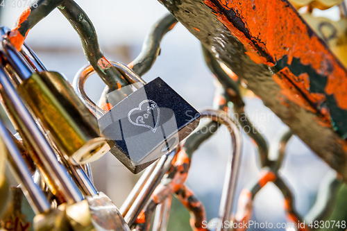 Image of Love Paris Padlocks hanging on a fence