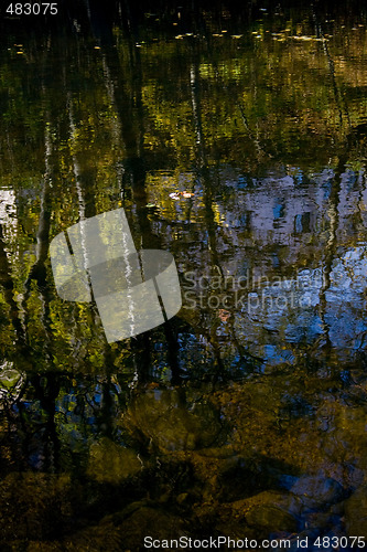 Image of Trees reflected in water