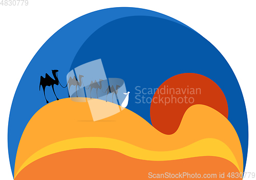 Image of Camels at sunset vector or color illustration