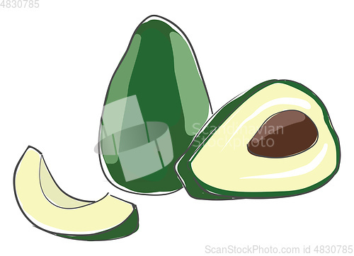 Image of Piece of cut avocado vector or color illustration