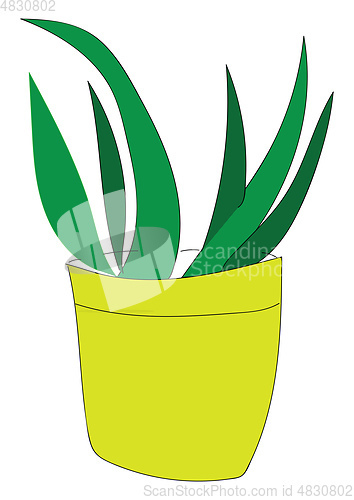 Image of Long green leaf plant in a pot illustration vector on white back