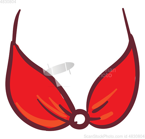 Image of A red bra vector or color illustration