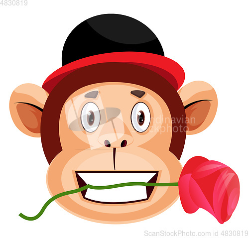 Image of Monkey is holding rose in his mouth, illustration, vector on whi