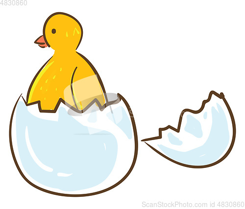 Image of An cute yellow bird hatching out of an egg vector or color illus