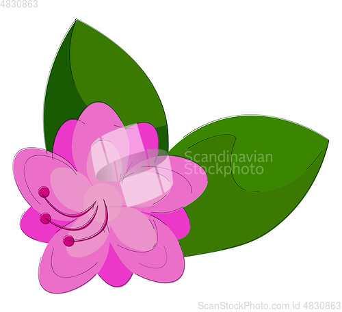Image of Clipart of an azalea flower that looks adorable vector or color 