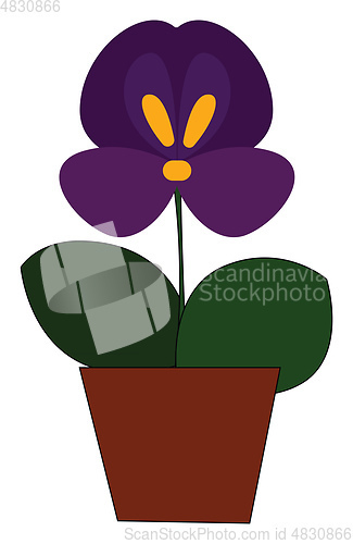 Image of A pot of pansy plant vector or color illustration