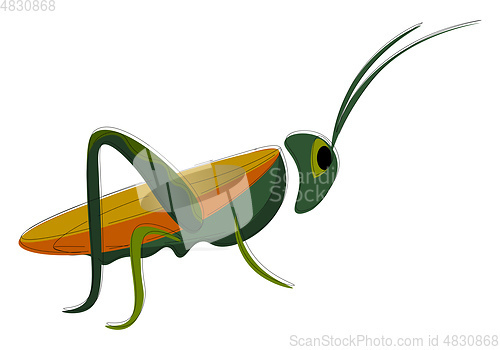 Image of A grasshopper vector or color illustration