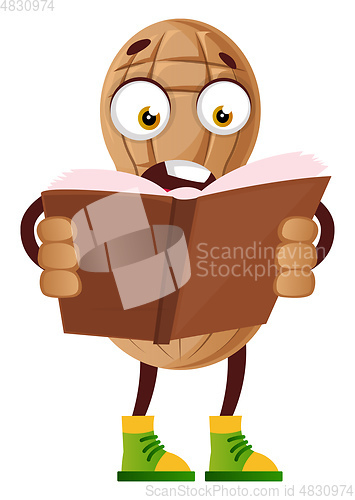 Image of Peanut reading book, illustration, vector on white background.