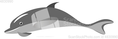 Image of Dolphin vector or color illustration