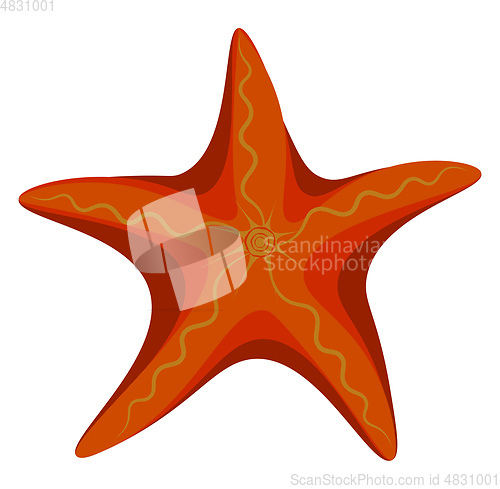 Image of Orange starfish vector or color illustration