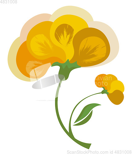 Image of Beautiful yellow flower 