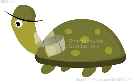 Image of Tortoise with cap vector or color illustration