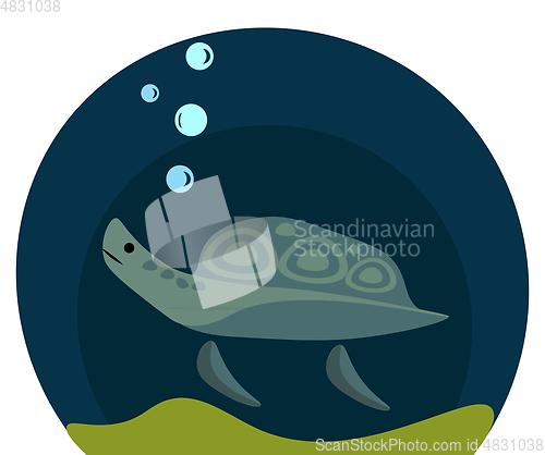 Image of A swimming sea turtle vector or color illustration