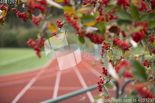 Image of Running Track