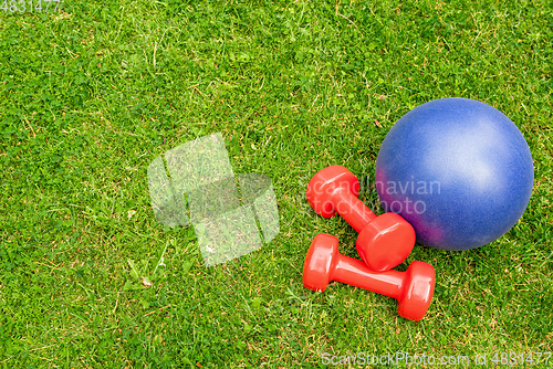 Image of Red ladies dumbbells and blue ball on the green grass background