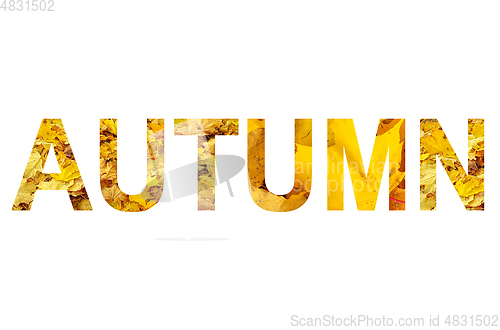 Image of Word AUTUMN with a bright leaves of maple tree pattern