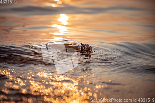 Image of Message in the bottle against the Sun setting down