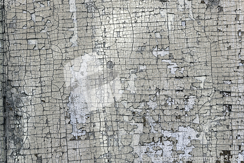 Image of cracked paint layer on wood