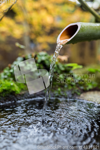 Image of Japanese bamboo ladle in Japanese Temple