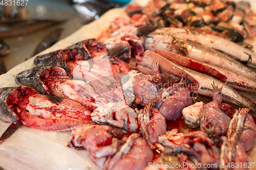 Image of Uncooked fish and chinese edible frog in wet market 