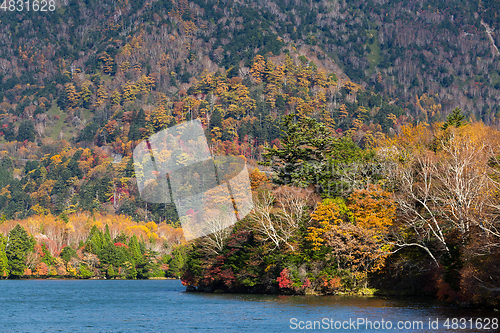 Image of Autumn nature in yuno lake