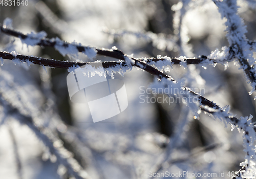 Image of Winter time of the year