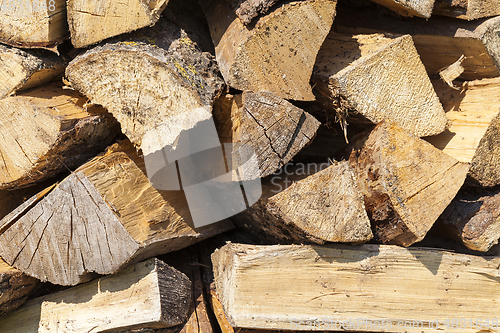 Image of Trunk of a sawn wood