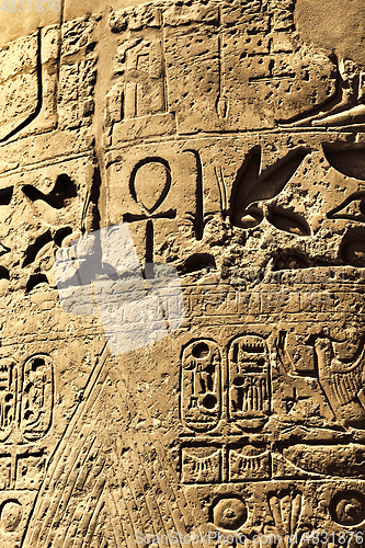 Image of Ancient egyptian hieroglyphs in the Karnak Temple