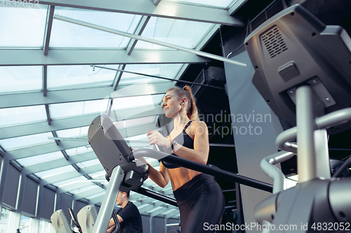 Image of The female athlete training hard in the gym. Fitness and healthy life concept.