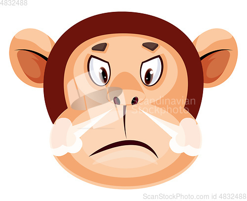 Image of Monkey is felling angry, illustration, vector on white backgroun