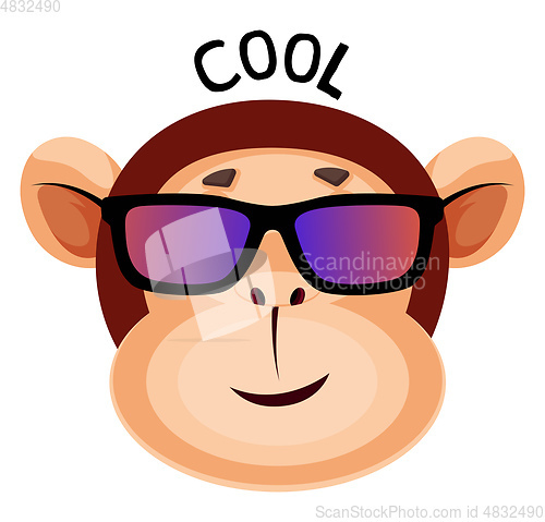 Image of Monkey is feeling cool, illustration, vector on white background