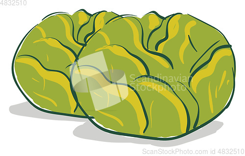 Image of Couple of cabbages 