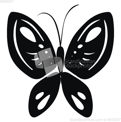Image of Sketch of a black butterfly White background 