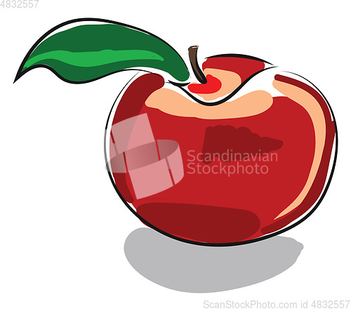 Image of A Red apple with leaf vector or color illustration