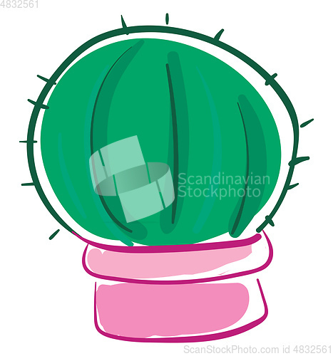 Image of A round cactus in a pink pot vector or color illustration